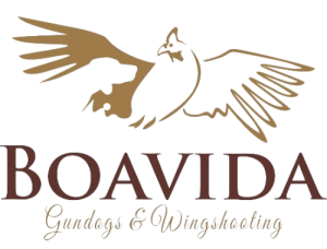 Boavida Logo representing expert gundog training, hunting, and wingshooting services in South Africa.